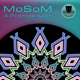 A Promise Kept Mosom