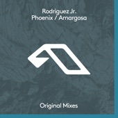 Phoenix / Amargosa - EP artwork