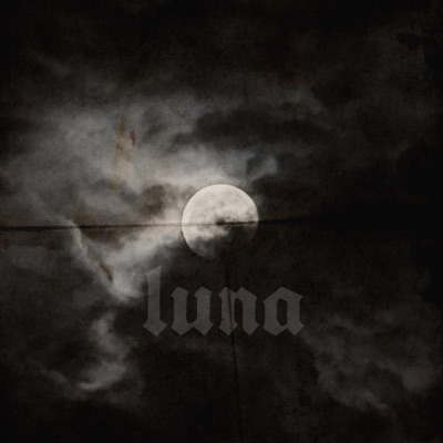 Luna (feat. Valent1n) - Single