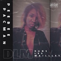 DLM (Dans Les Mailles) - Single - PeeBee PACMAN