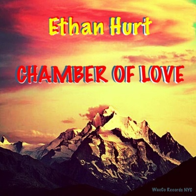 Chamber of Love - Single