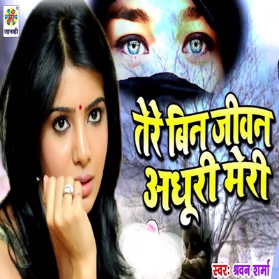 Tere Bin Jivan Adhuri Meri - Single