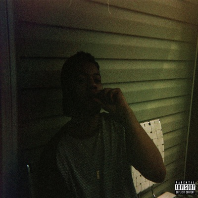 Ain't Bout Shit - Single