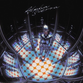 MARNI CARRE D'AS, Malo & Benjay