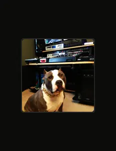 Posłuchaj wykonawcy DJ Erratic, obejrzyj teledyski, przeczytaj biografię, zobacz daty tras koncertowych i nie tylko!