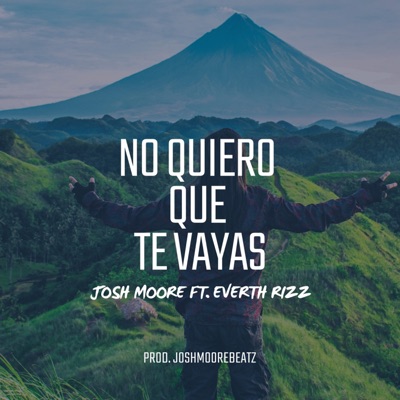 No Quiero Que Te Vayas (feat. Everth Rizz) - Single