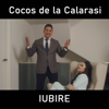 Iubire - Cocos de la Calarasi