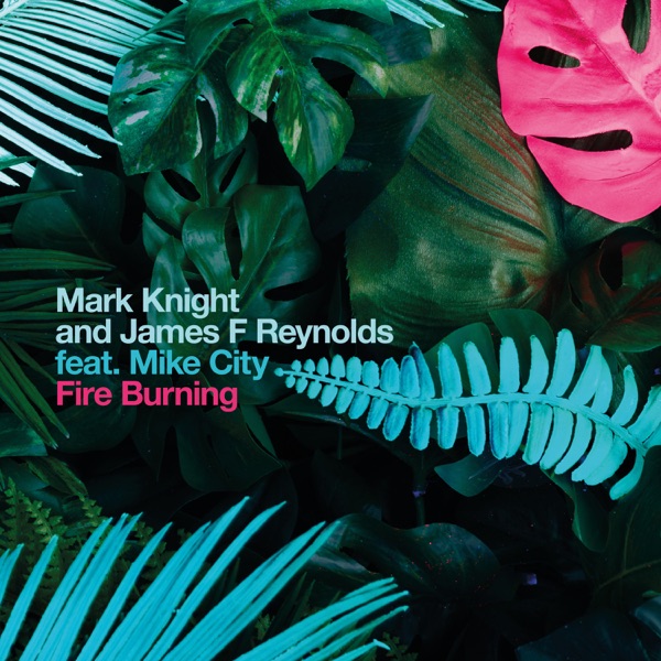 Fire Burning (feat. Mike City) - Single