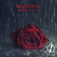 Roses in Rain - Single - MadTing
