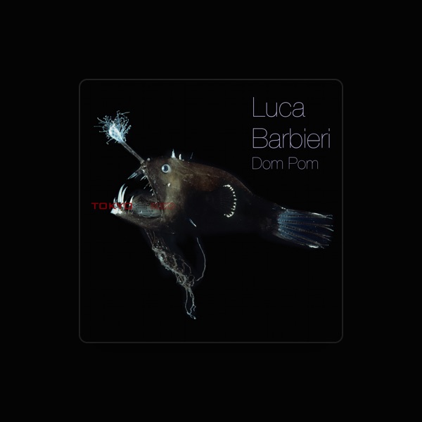Luca Barbieri's avatar