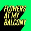 Paul Rudder - Flowers at My Balcony