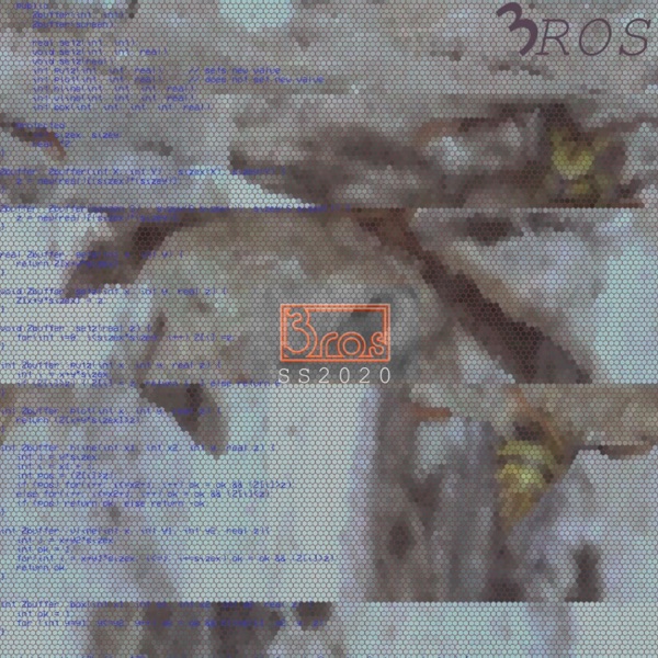 Ss 2020