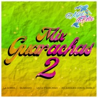 Mix Guarachas 2: La Gorda / Silbando / Gaita Y Sorongo / No Juegues Con El Diablo - Single - Agua Bella