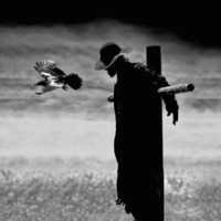 Jeepers Creepers - Single - TSO Rome