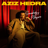 Somebody's Pleasure - Aziz Hedra