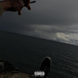 Password Indigo Saint