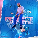 Perfect Waste of Time - EP