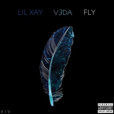 Fly (feat. V3DA) - Single