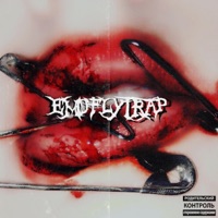 Romantic Homicide (feat. Skeletxrn) - Single - emoflytrap