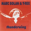 Marc Bolan & T. Rex