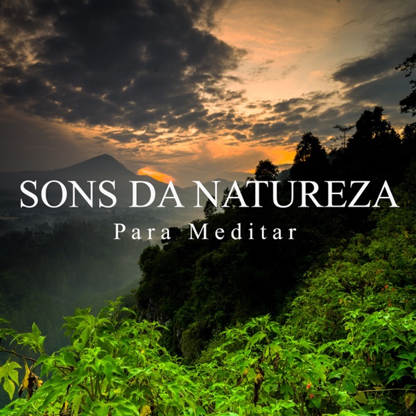 Sons da Natureza Para Meditar