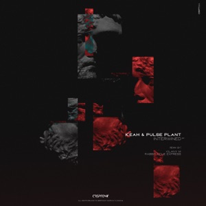 Intertwined - Single