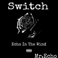 Switch - Single - Mr. Echo