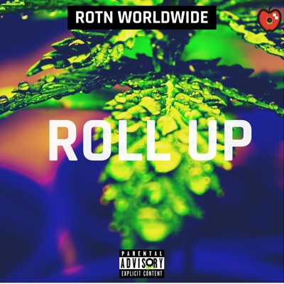 Roll Up (feat. Ali Saeed, Freddy & Venmc) - Single