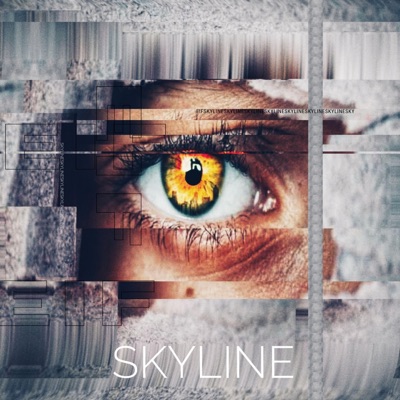 Skyline (Heklur Remix) - Single