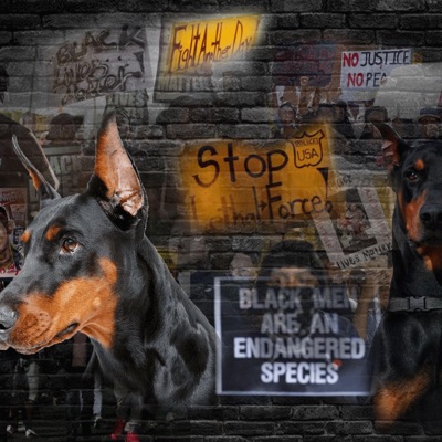 No Judgment (feat. Zeus) - Single