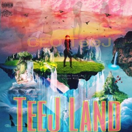 Like a Feen (feat. Prince Will) Ceo Teej