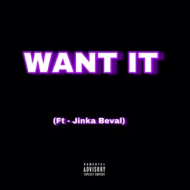 Want It (feat. Jinka Beval) Chris King