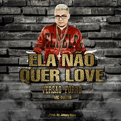 Ela Não Quer Love (Versão Forró) - Single