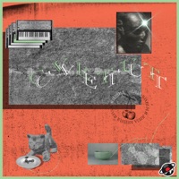 Album cover for Tss by Liza Vishnya