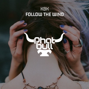 Follow the Wind - Single