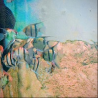 Stackin' - Single - Basaa