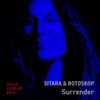 Surrender - Single