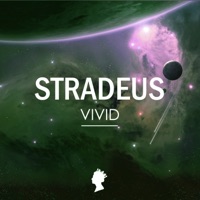 Vivid - Single - STRADEUS