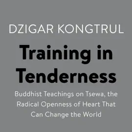 Training in Tenderness: Buddhist Teachings on Tsewa, the Radical Openness of Heart That Can Change the  World (Unabridged)