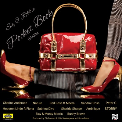 Pocket Book Riddim