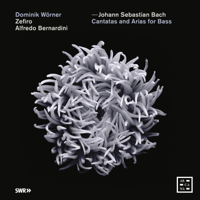Alfredo Bernardini, Zefiro & Dominik Wörner - Bach: Cantatas and Arias for Bass artwork