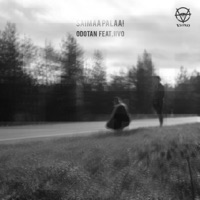 Odotan (feat. Iivo) - Single - Saimaa Palaa!