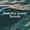 Zen Ocean - Ocean Sounds & Ocean Waves For Sleep