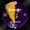 Trinidadian Deep - Native Revolution