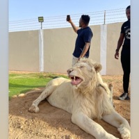 Party Tonight - Single - Fricky J