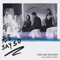 無言 (feat. Joanna Dong) [國語版] - Single - The Sam Willows