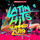 Latin Hits Summer 2019 - 40 Latin Music Hits - Verschillende artiesten