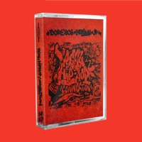 Fonky Fool - Single - MAARTN