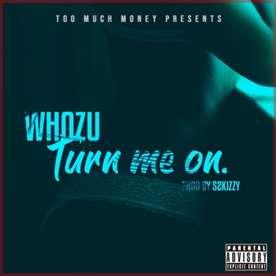 Turn Me On - Single