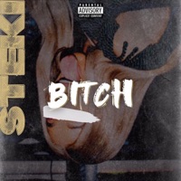 Bitch - Single - Steki